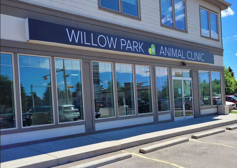 Carousel Slide 2: Learn more about us